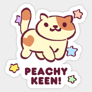 kitty collector rare cat peaches with starry sparkles being peachy keen Sticker